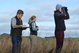 Thumbnail for the post titled: Counting farmland birds and enjoying the first signs of spring